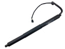 Stabilus 3A-411118 Liftgate Lift Support - Right