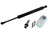 Stabilus 5Z-439569 Tailgate Lift Support
