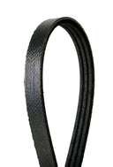 Continental 3K815 Serpentine Belt - Alternator