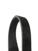 Continental D4070536 Serpentine Belt - Accessory Drive