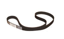 Continental TB167 Engine Timing Belt