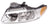 Eagle Eye CS096-B101R Headlight Assembly - Right