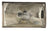 Eagle Eye FR166-B001LR Headlight Assembly