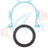 Apex ABS813 Engine Crankshaft Seal Kit - Rear