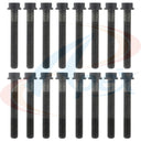 Apex AHB427 Engine Cylinder Head Bolt Set