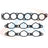 Apex AMS2970 Engine Intake Manifold Gasket Set - Lower and Upper