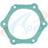 Apex AWP3019 Engine Water Pump Gasket