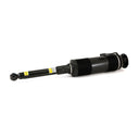 Arnott SK-2461 Suspension Strut - Rear Left