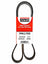Bando 7PK1755 Accessory Drive Belt - Accessory Drive
