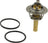 Rein CTN0063 Engine Coolant Thermostat