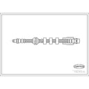 Corteco 19031638 Brake Hydraulic Hose - Front
