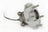 SKF BR930781 Wheel Bearing and Hub Assembly - Rear