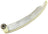 Cloyes 9-5640 Engine Timing Chain Tensioner Guide
