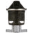 Delphi EG10506 EGR Valve