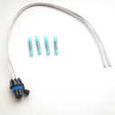 Delphi FA10004 Fuel Pump Wiring Harness