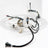 Delphi FG0019 Fuel Pump Module Assembly