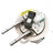 Delphi FG0811 Fuel Pump Module Assembly