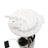 Delphi FG0889 Fuel Pump Module Assembly