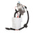 Delphi FG1113 Fuel Pump Module Assembly