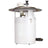 Delphi FG1345 Fuel Pump Module Assembly