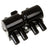 Delphi GN10296 Ignition Coil