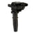 Delphi GN10303 Ignition Coil