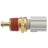 Delphi TS10294 Engine Coolant Temperature Sensor
