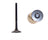 DJ Rock EV971 Engine Exhaust Valve