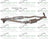 Davico 175040 Catalytic Converter - Center, Front or Rear