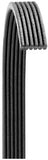 Dayco 6070550 Serpentine Belt - Main Drive