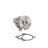 Dayco DP1436 Engine Water Pump