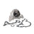 Dayco DP916 Engine Water Pump