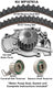 Dayco WP187K1A Engine Timing Belt Kit with Water Pump