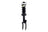 FCS 1355038R Suspension Strut and Coil Spring Assembly - Front Right