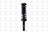 FCS 1355046R Suspension Strut and Coil Spring Assembly - Rear Right