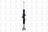 FCS 335584R Suspension Strut Assembly - Front Right