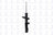 FCS 335991 Suspension Strut Assembly - Front
