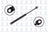 FCS 84024 Hood Lift Support - Front