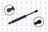 FCS 84051 Deck Lid Lift Support - Rear
