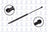 FCS 84079 Hatch Lift Support - Rear