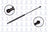 FCS 84094 Hatch Lift Support - Rear
