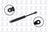 FCS 84102 Trunk Lid Lift Support - Rear