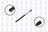 FCS 84117 Trunk Lid Lift Support