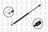 FCS 84157 Hood Lift Support
