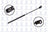 FCS 84163L Hood Lift Support - Left