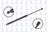 FCS 84203 Liftgate Lift Support