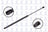 FCS 84273 Liftgate Lift Support