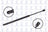 FCS 84357 Tailgate Lift Support