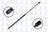 FCS 84398 Hood Lift Support