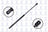 FCS 84405 Back Glass Lift Support